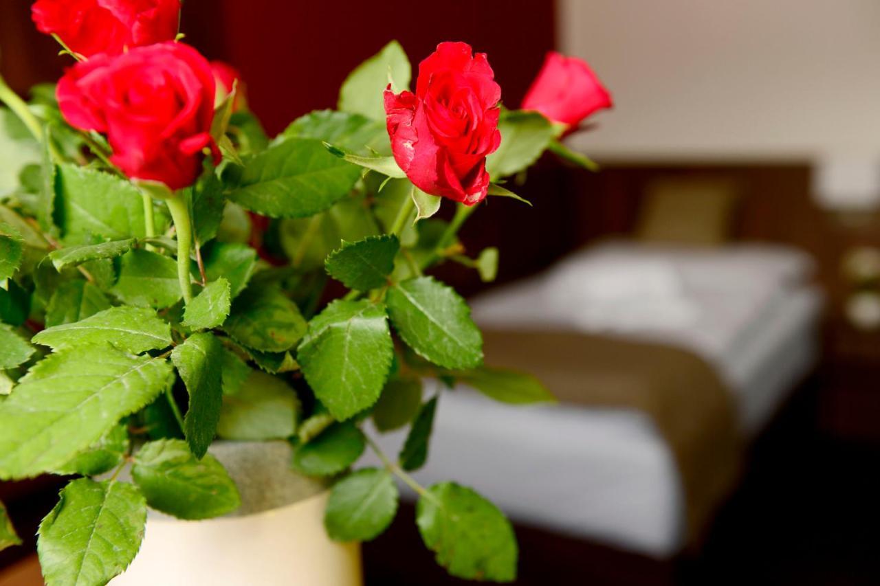 Hotel U Hada Zatec Ngoại thất bức ảnh